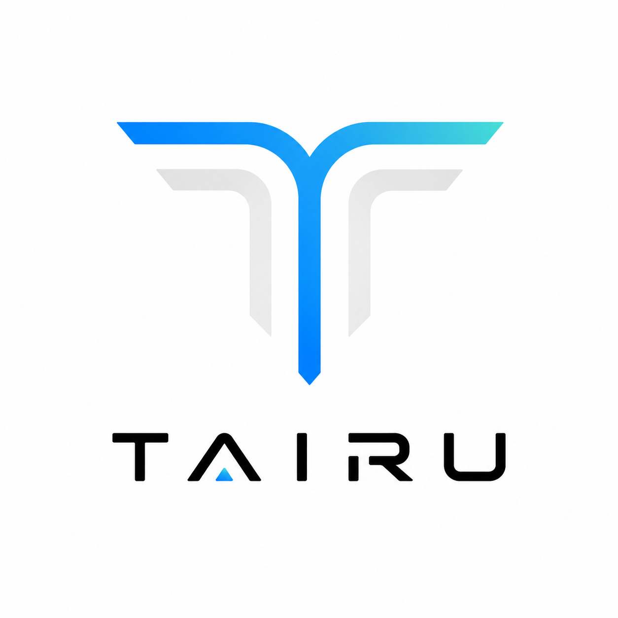TAIRU DRIVE